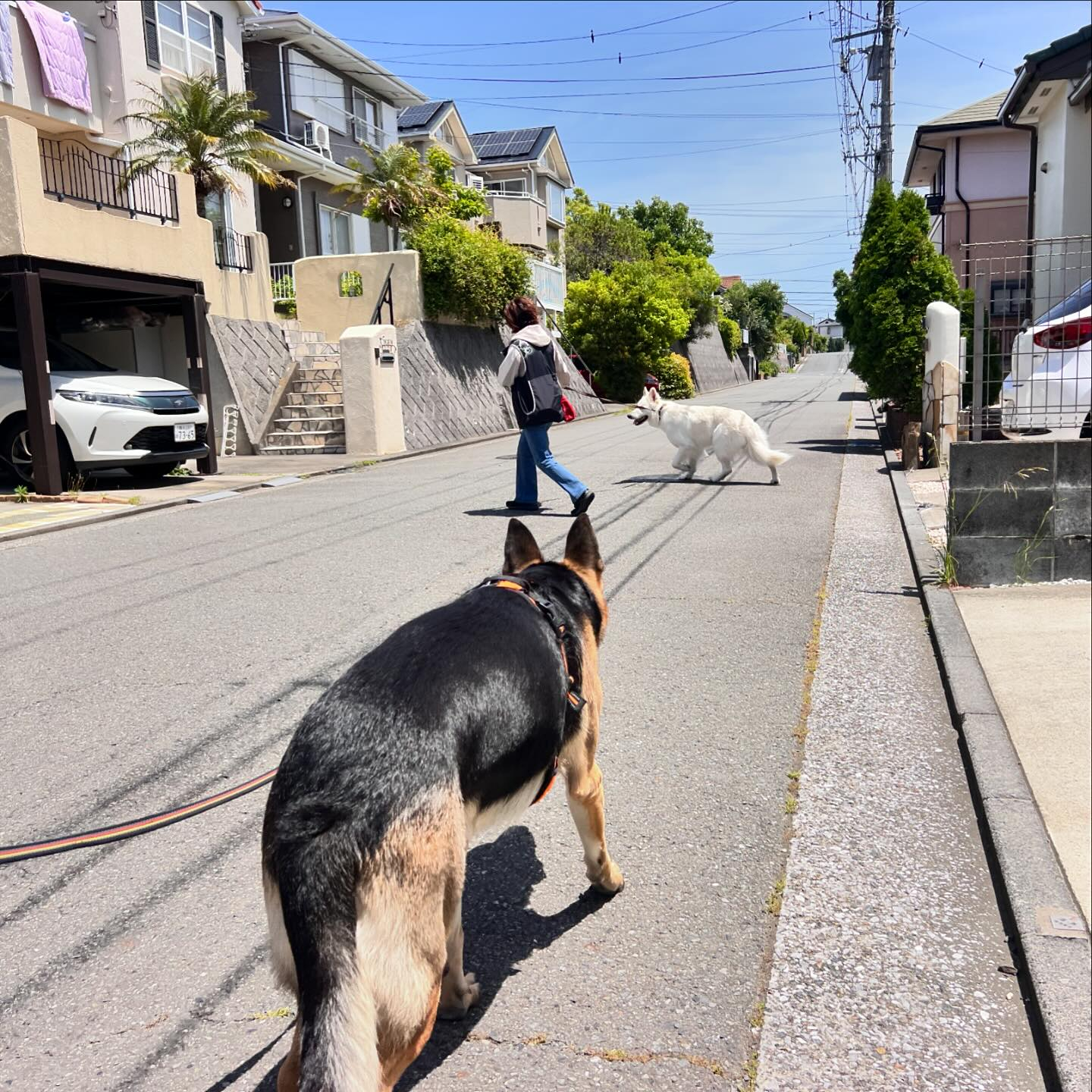 距離感が一段と近くなりました！