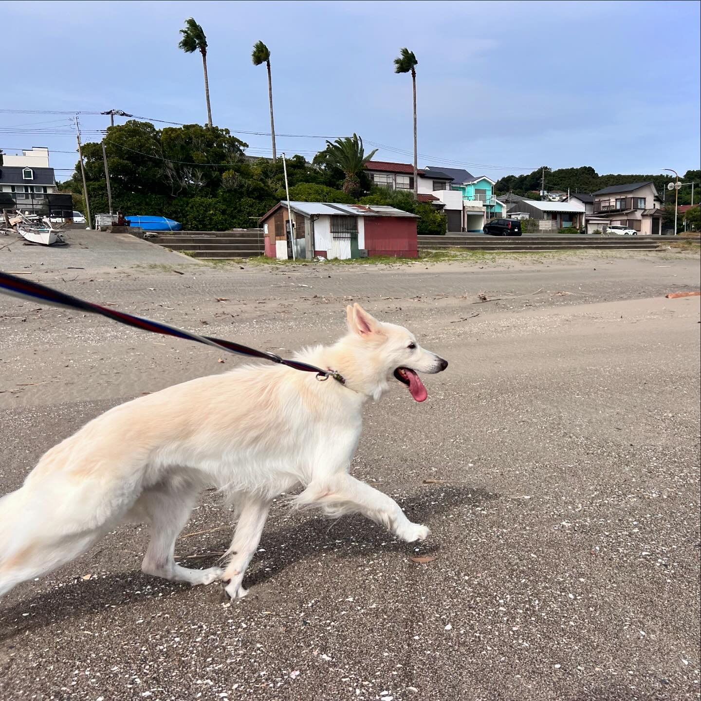 涼しくなってきたね🍂