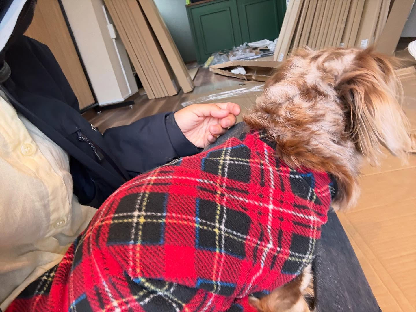 お店の準備中です。