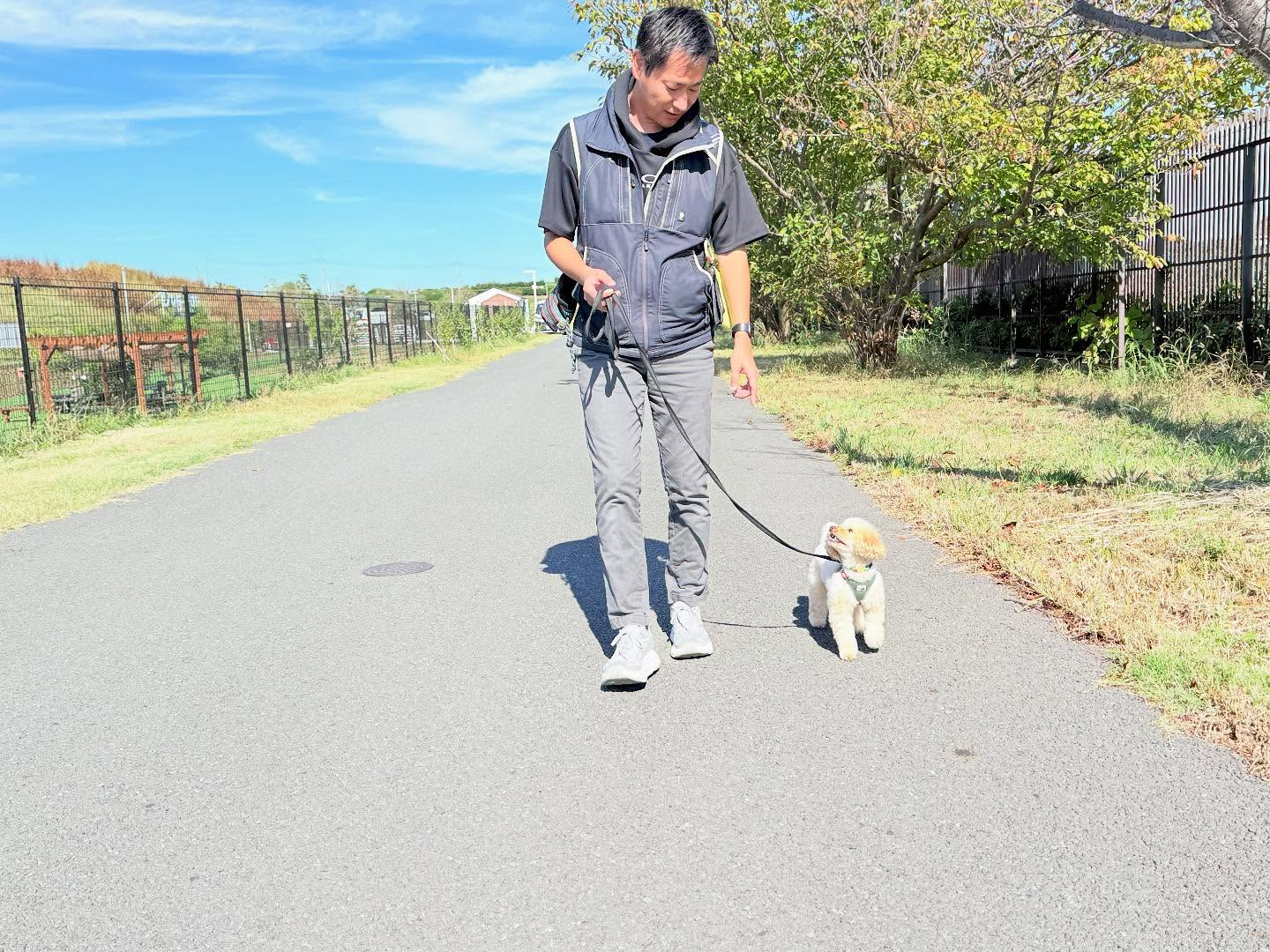 お散歩レッスンのお写真です。