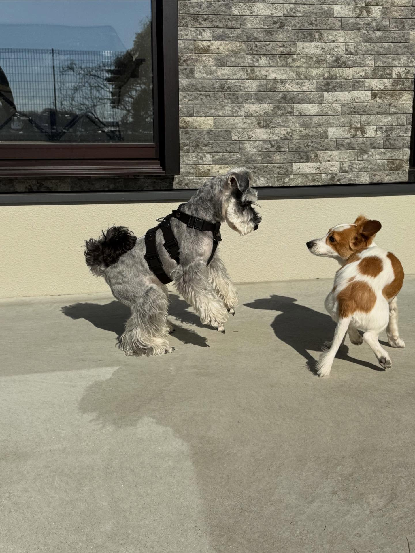 今日は今年初のお預かりレッスンでした。