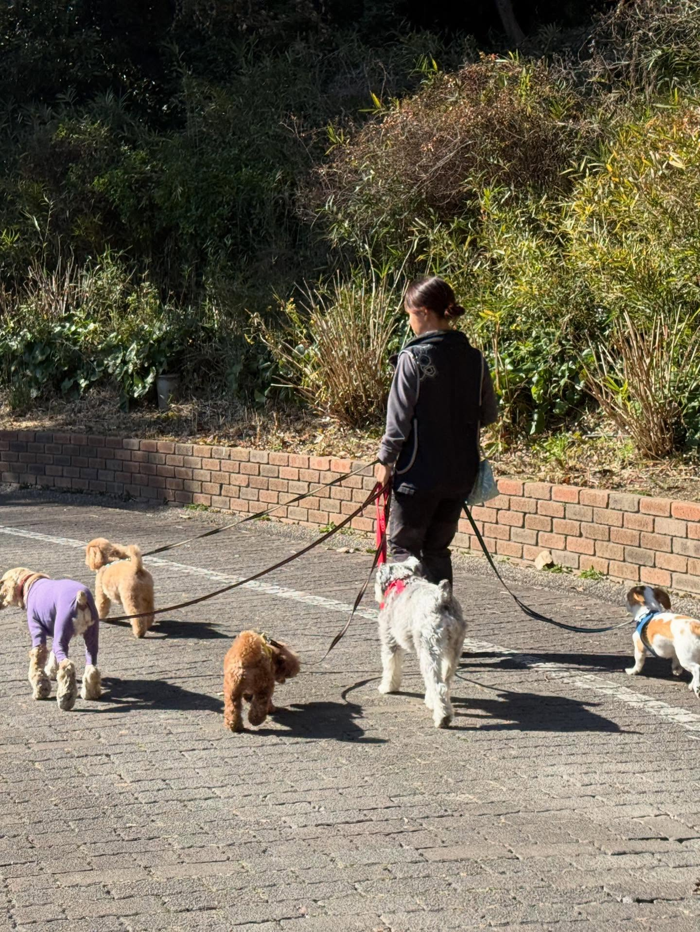 今日は今年初のお預かりレッスンでした。