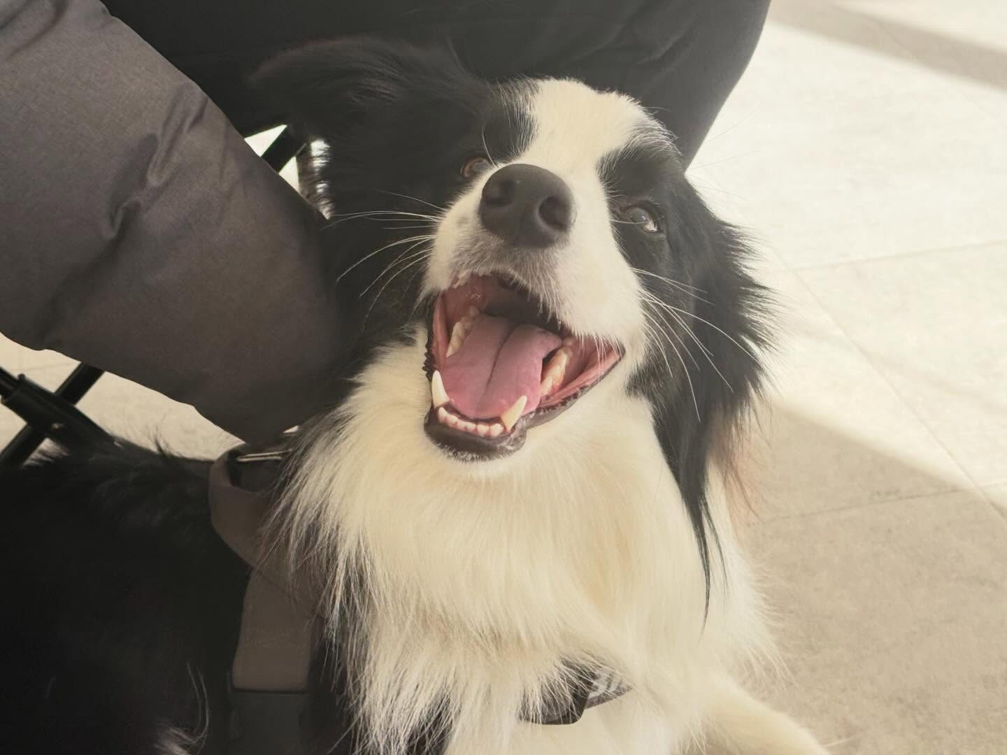 ママに満面の笑みで出来たよアピール❤️