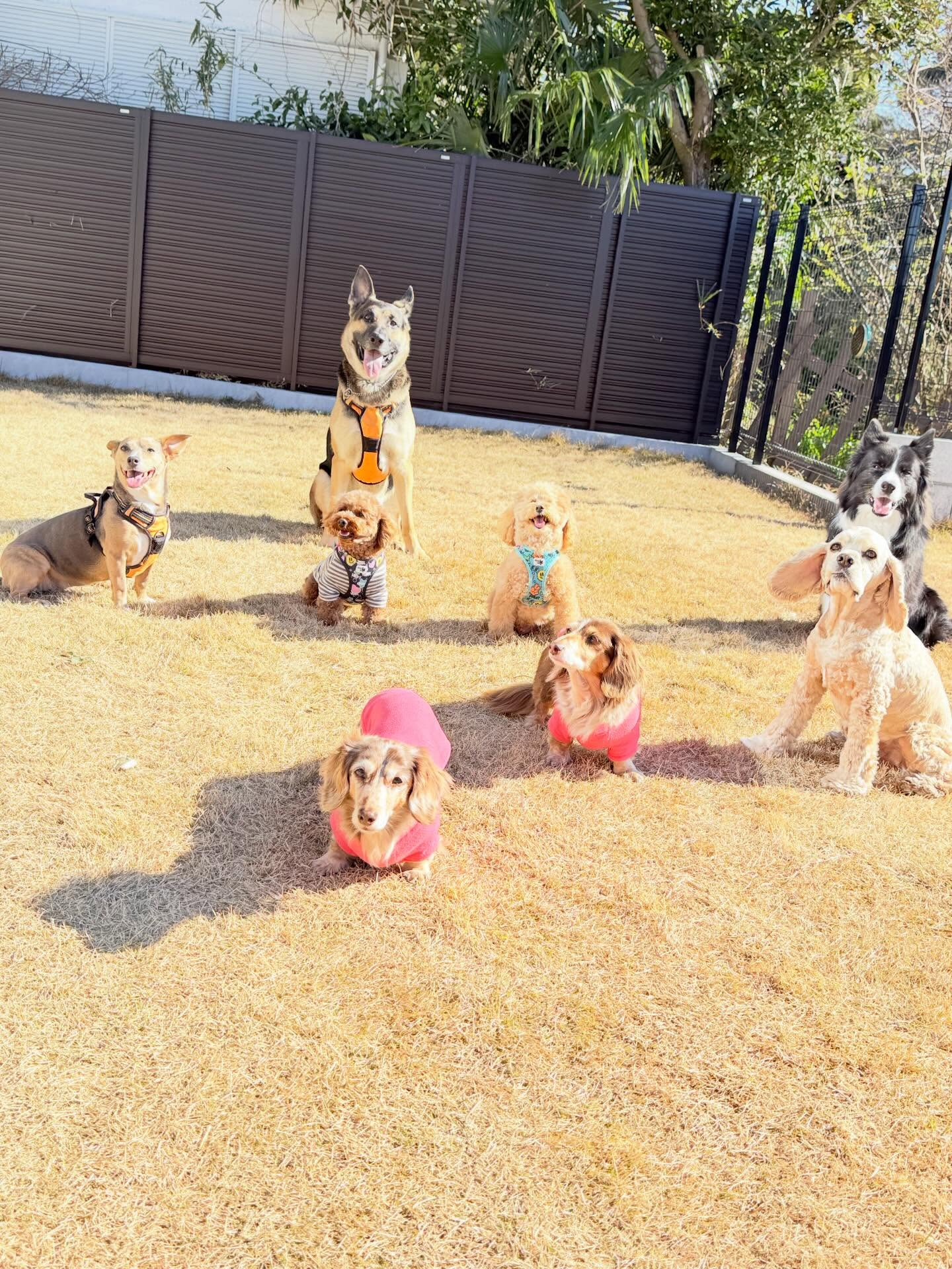 みんなでパシャリ💖