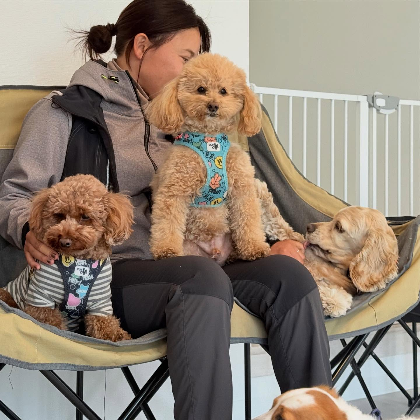 この表情（笑）