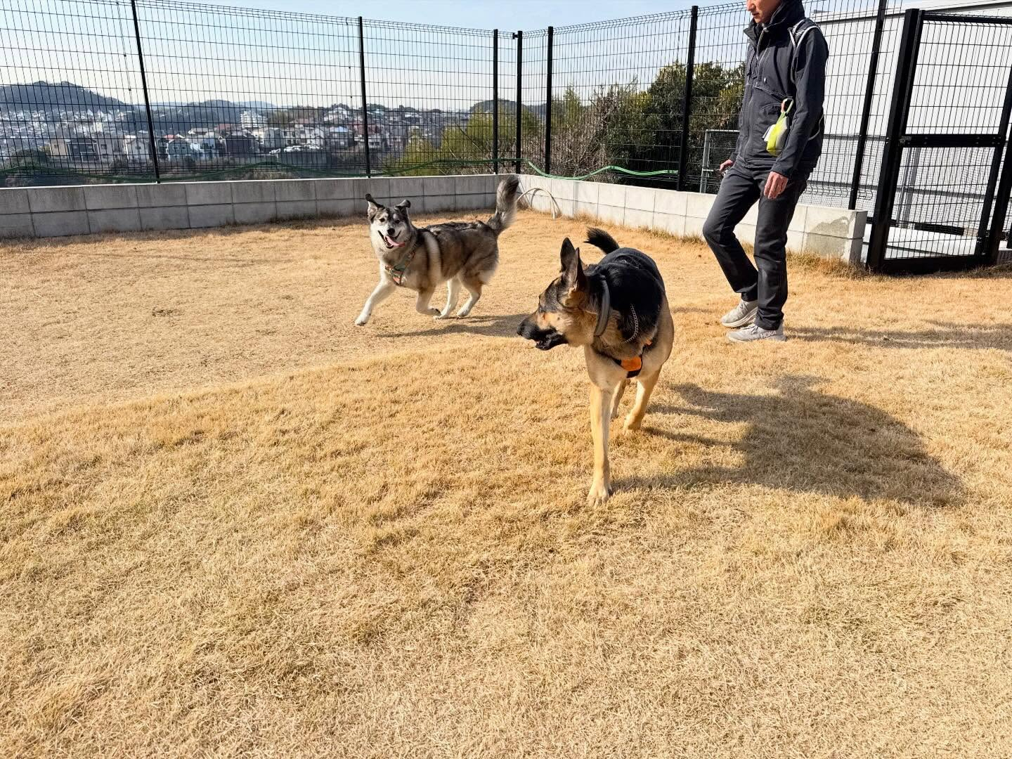 お友達との交流中でも、いつでも介入が出来るようにしています。