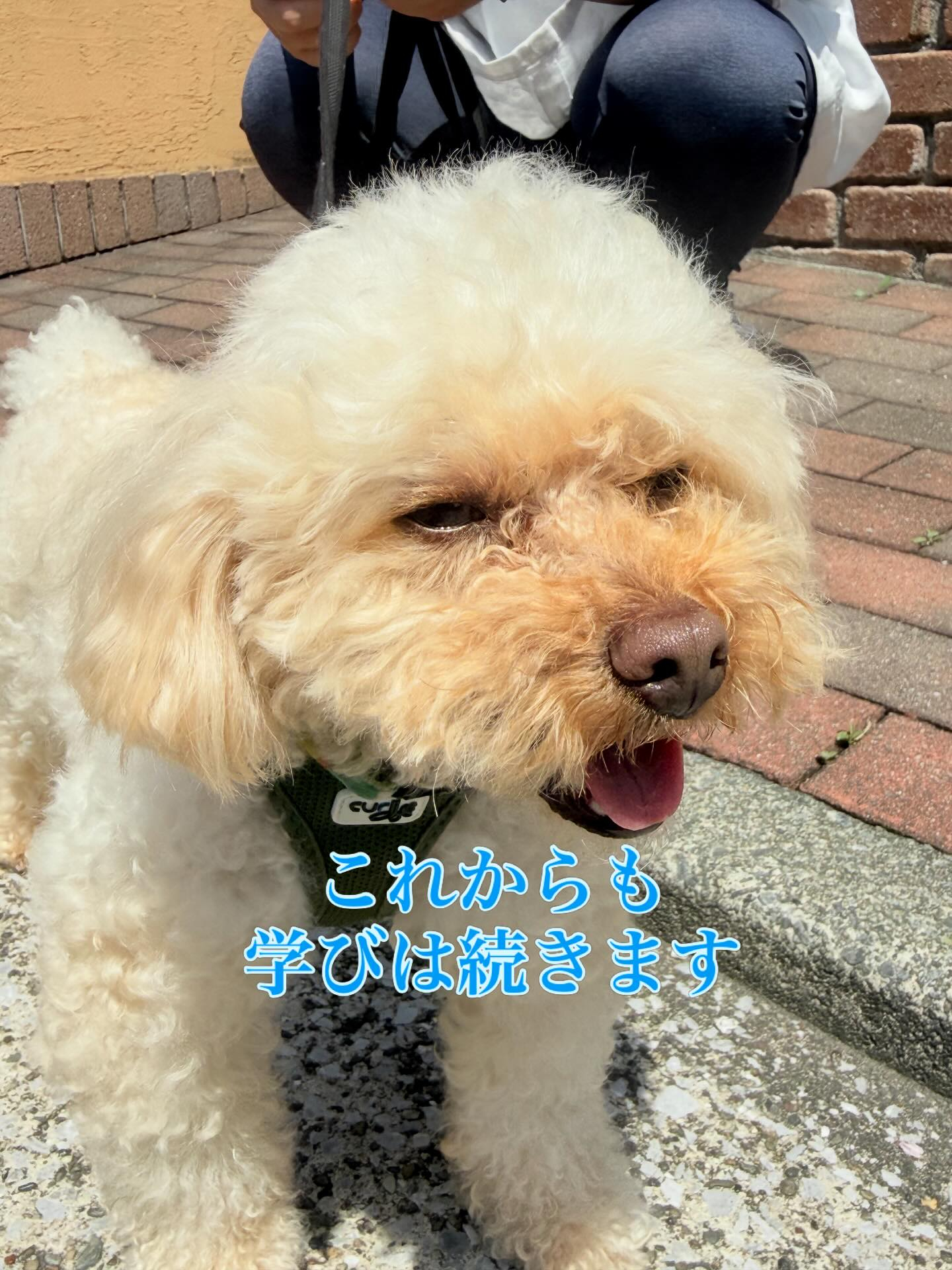 見違えるほど成長しました！