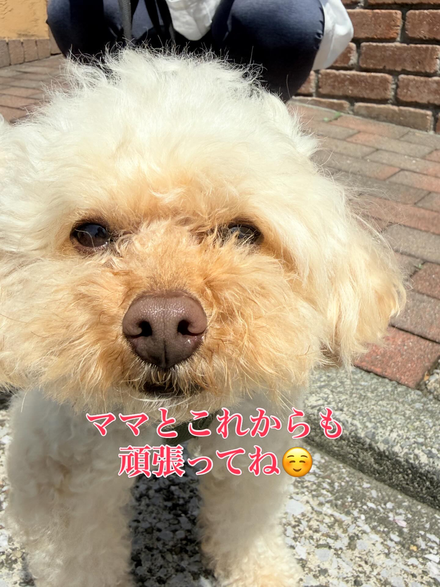 見違えるほど成長しました！