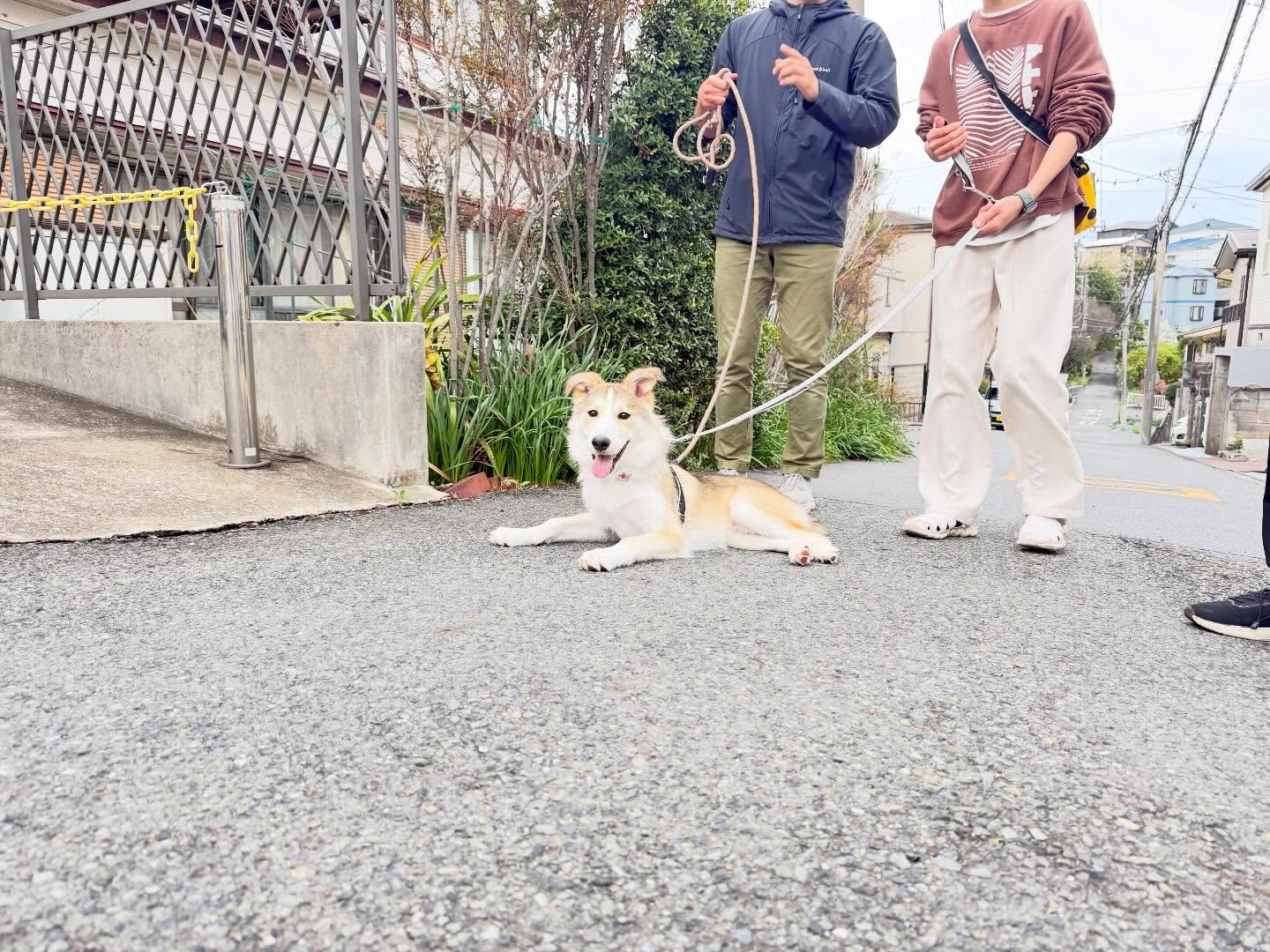 春からの可愛い新入生☺️