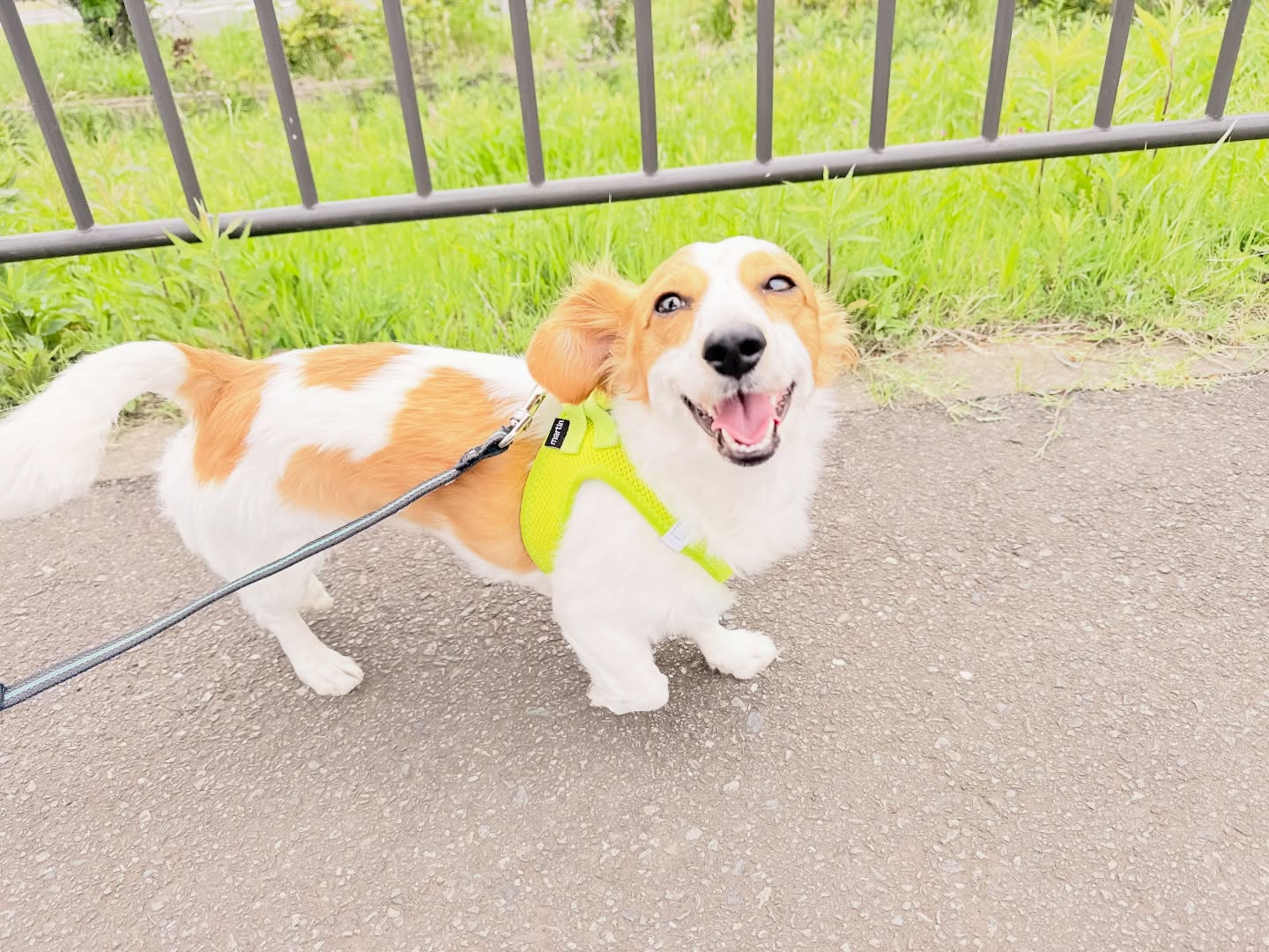 お預かりレッスン大好き💕