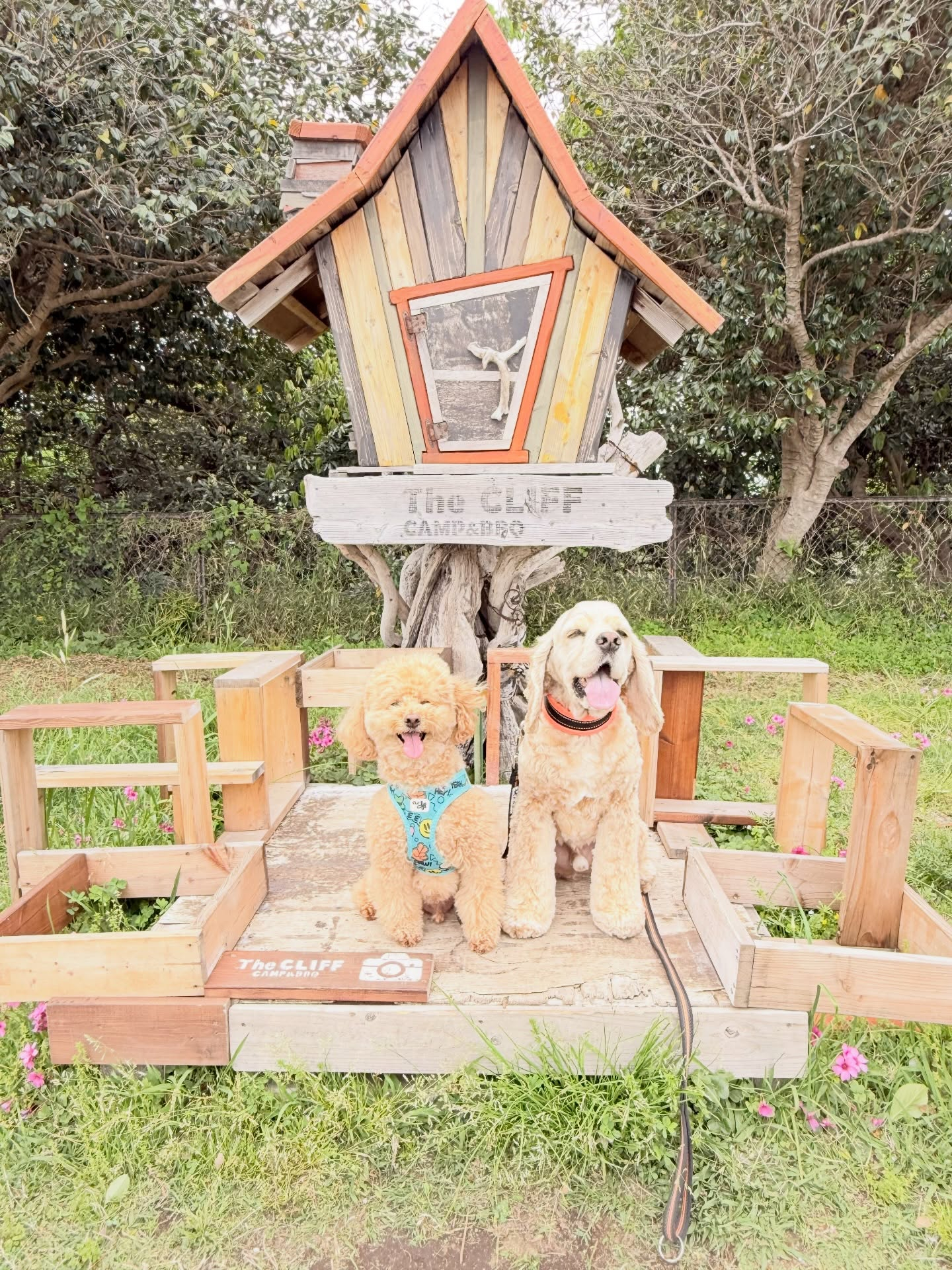 お預かりレッスン😊