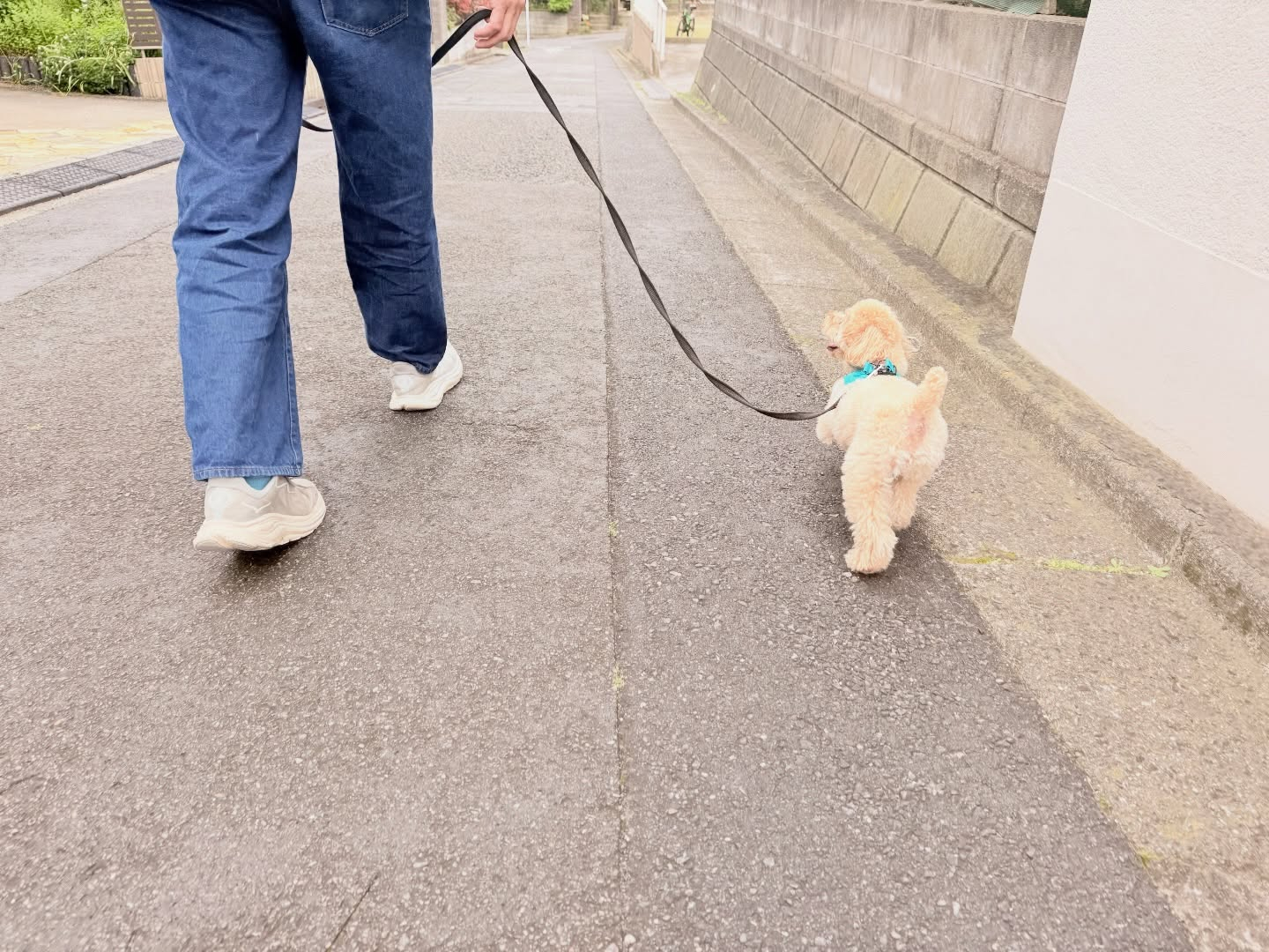 新入生、お散歩れんしゅう〜