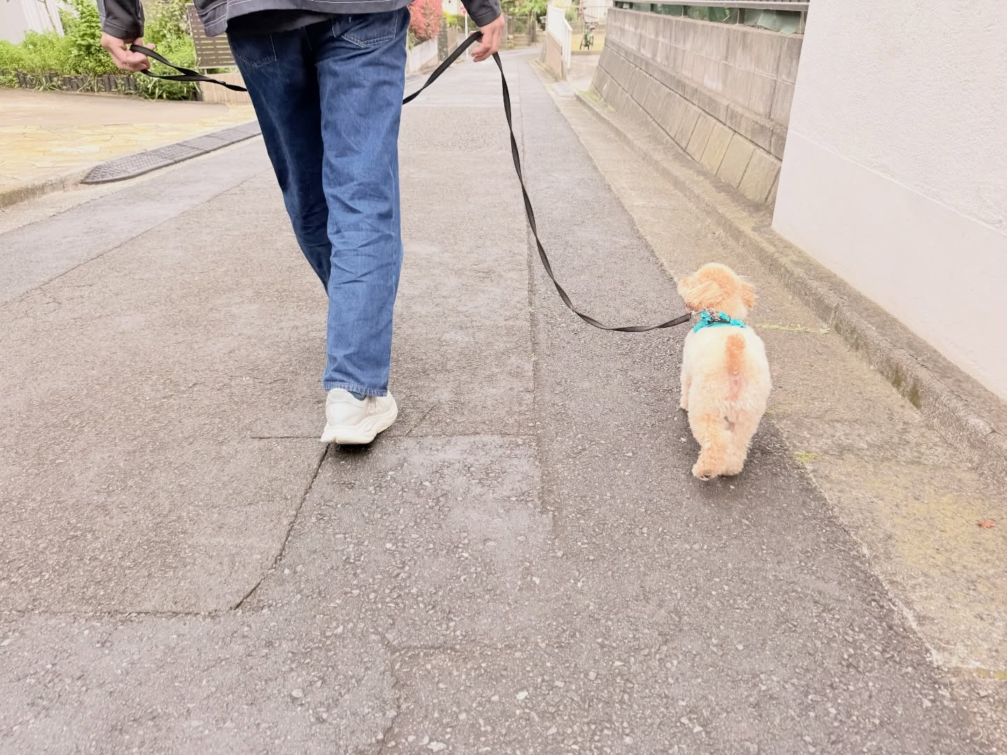新入生、お散歩れんしゅう〜
