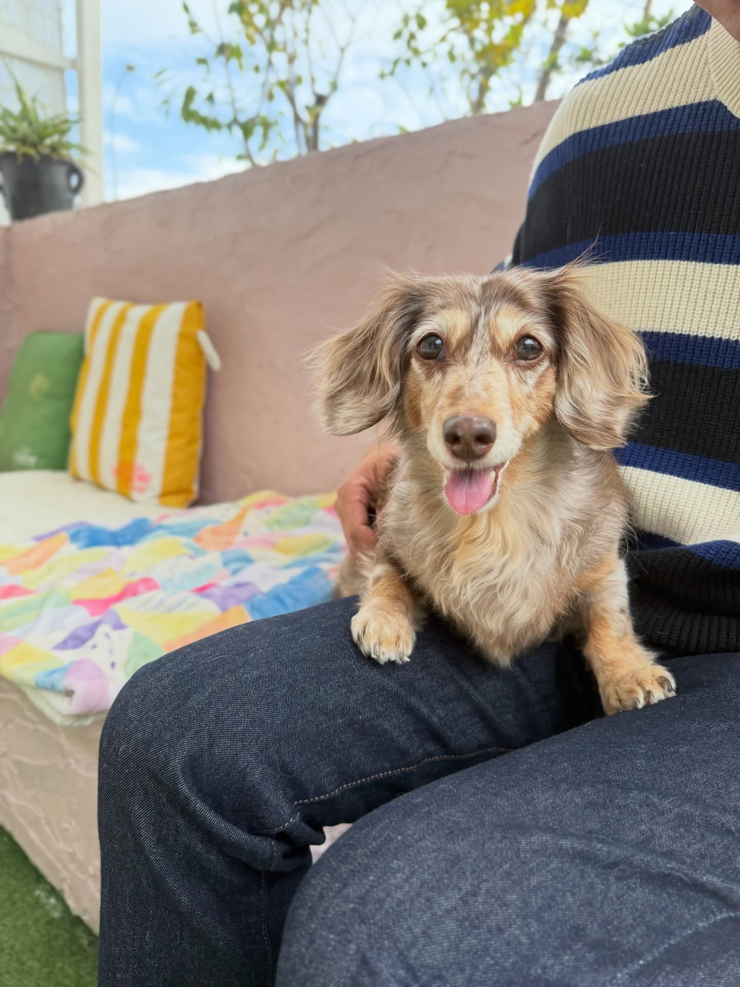 モカメイちゃん、16歳になりました✨