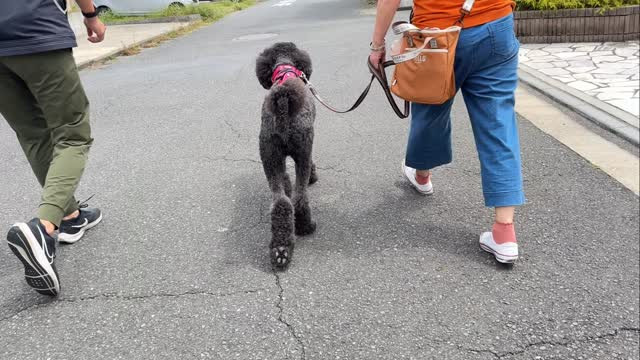 プライベートレッスン動画〜