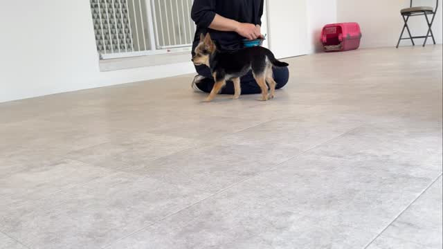 事務所レッスン動画〜