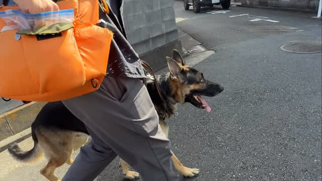 お預かりレッスン動画〜