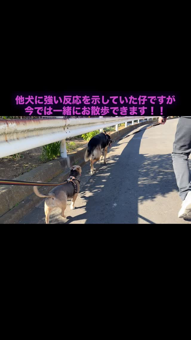 お預かりレッスンの様子😊