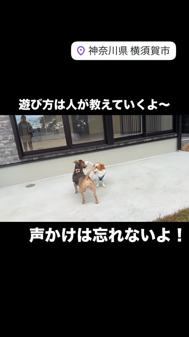 お友達に強いアタックや手を出して