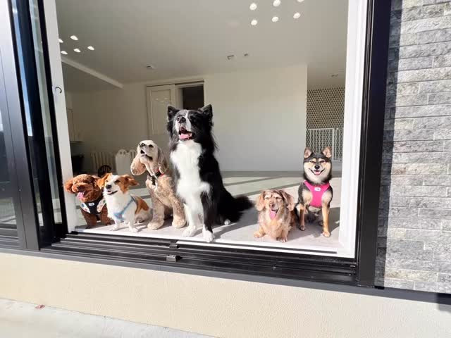 ■ 求人募集▪️